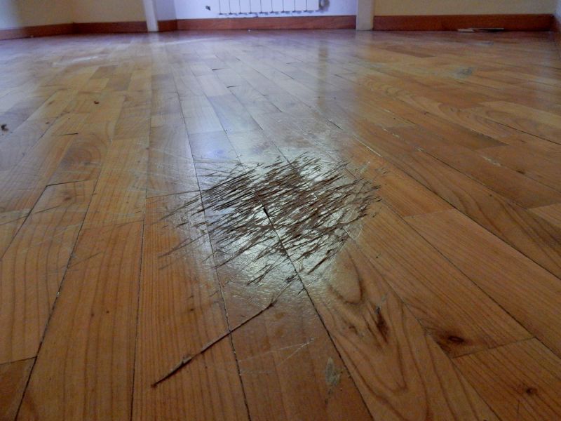 Damaged Hardwood Floor